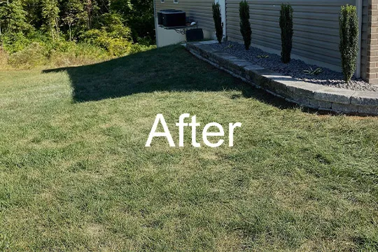 Smithton IL After lawn care