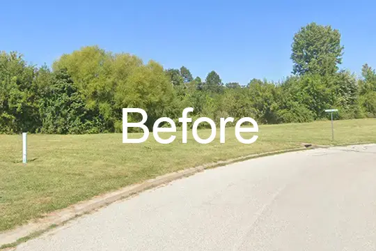 before forest mulch smithton illinois