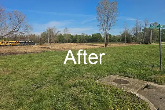 after forest mulch smithton illinois